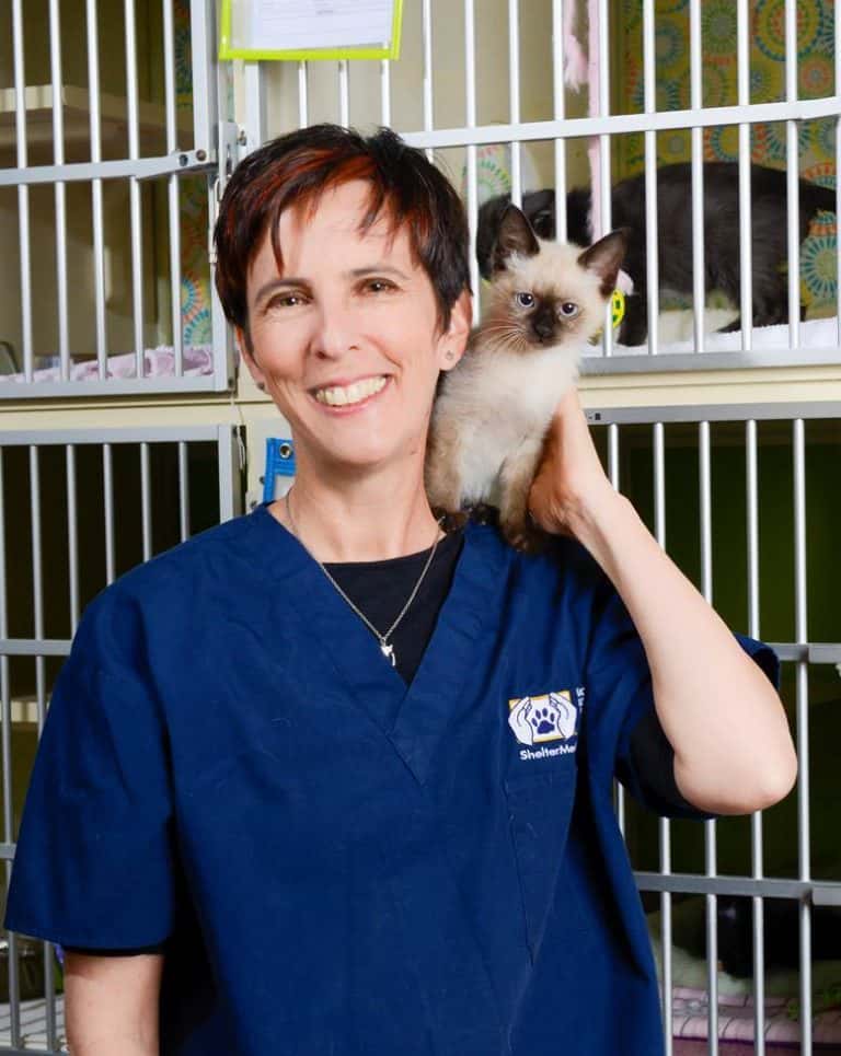 kate with adorable and slightly vexed siamese kitten 2014