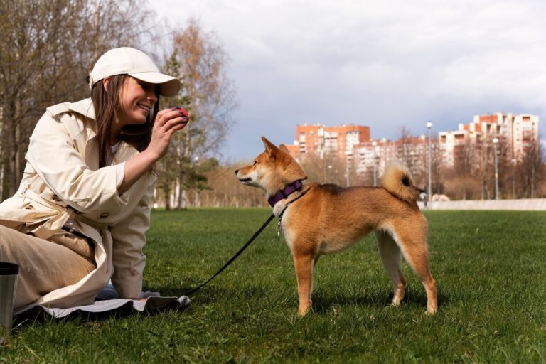 10 Fun Outdoor Activities for Yourself and Your Dog