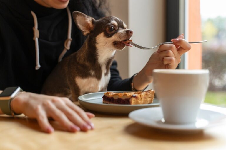 13 Foods that Can Kill Your Pet