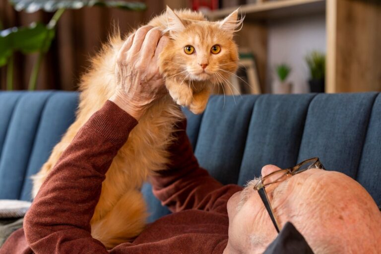 5 Tricky Conditions You Might THINK are Hairballs