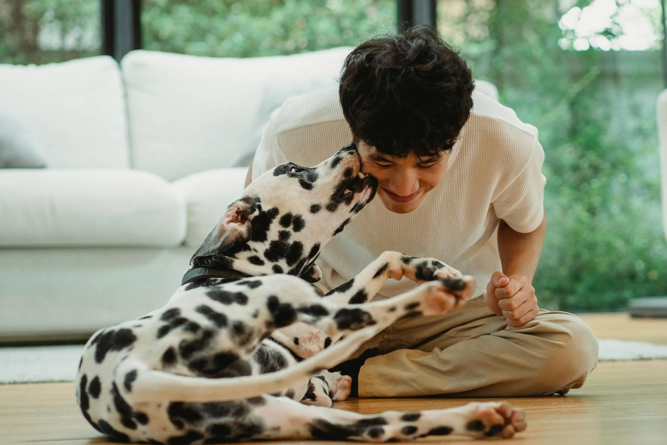 Abnormal Panting in Dogs scaled