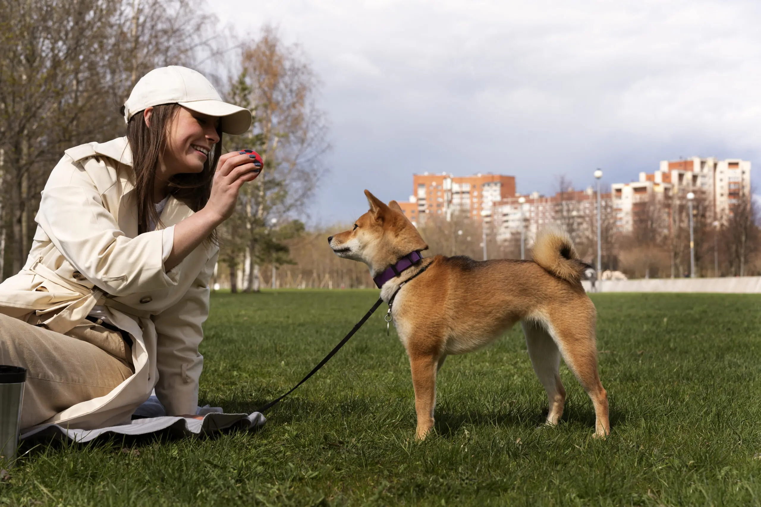 An Active Lifestyle for an Older Dog Is Essential scaled