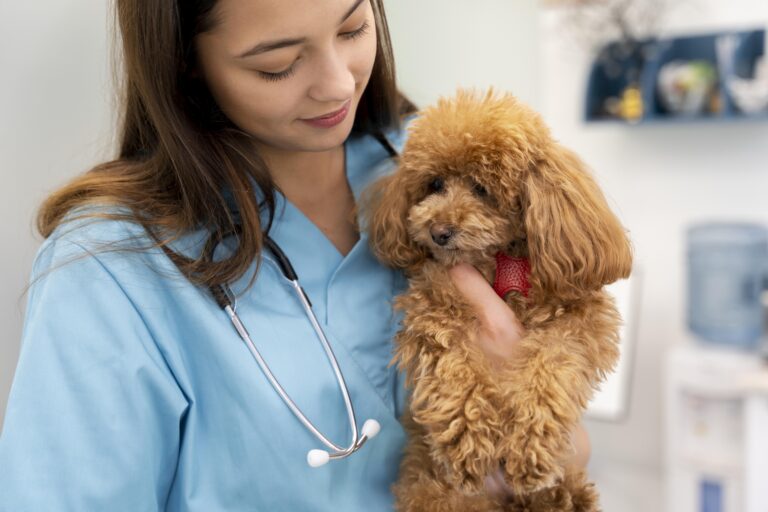 Cancer Preventable in Dogs