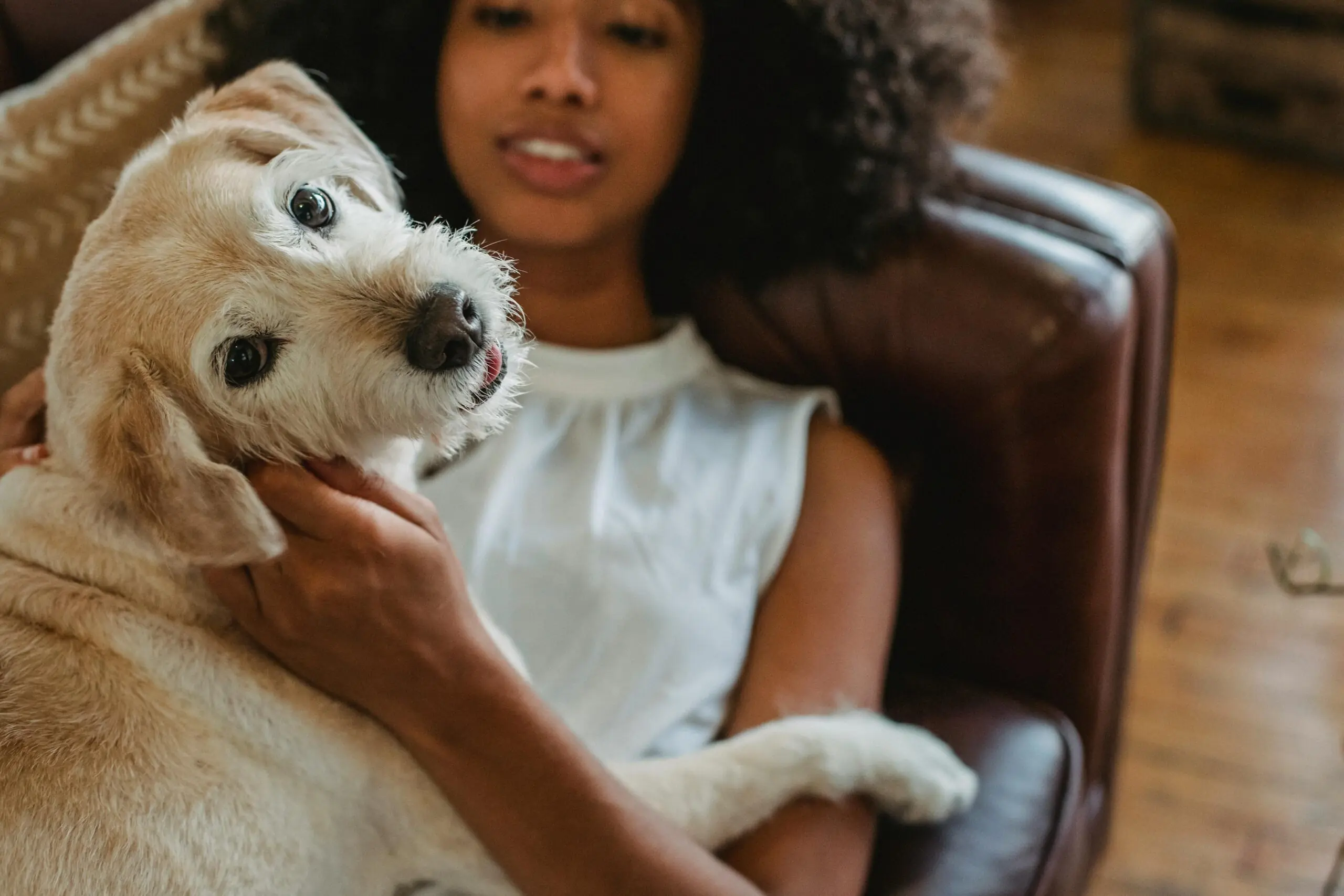 The Importance of Routine Dental Care in Dogs 2 Dental Care in Dog 2 scaled