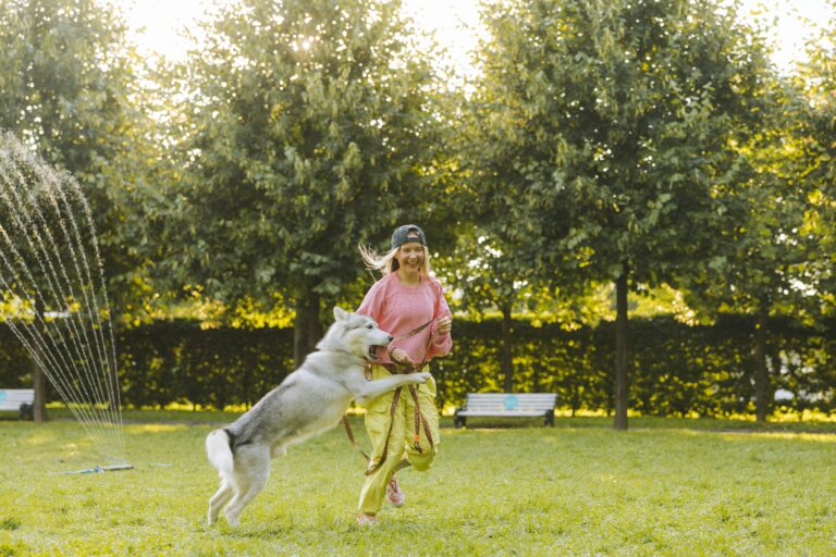Dog Parks