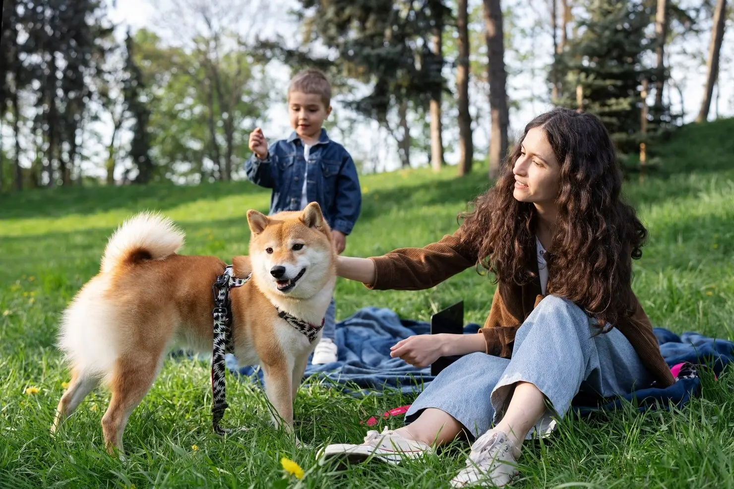 Dog Parks