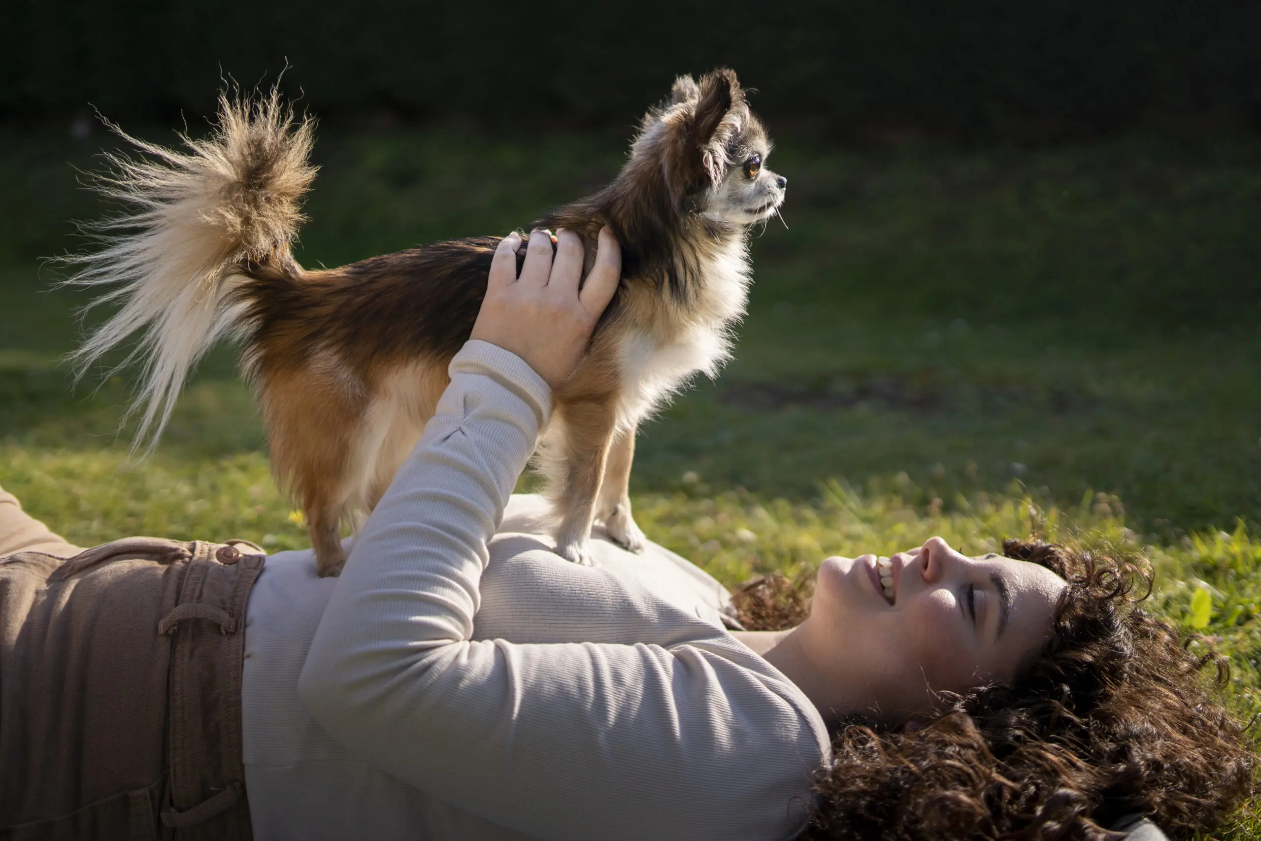 Dog s Mental Health scaled