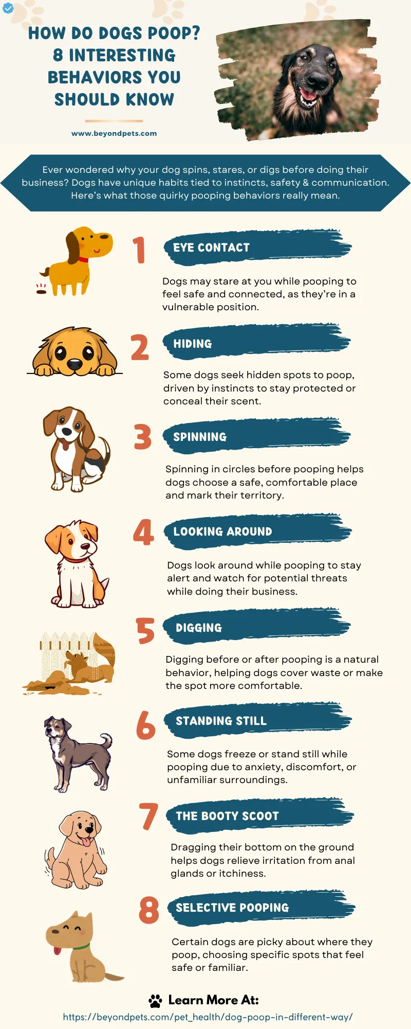 How Do Dogs Poop 8 Interesting Behaviors You Should Know