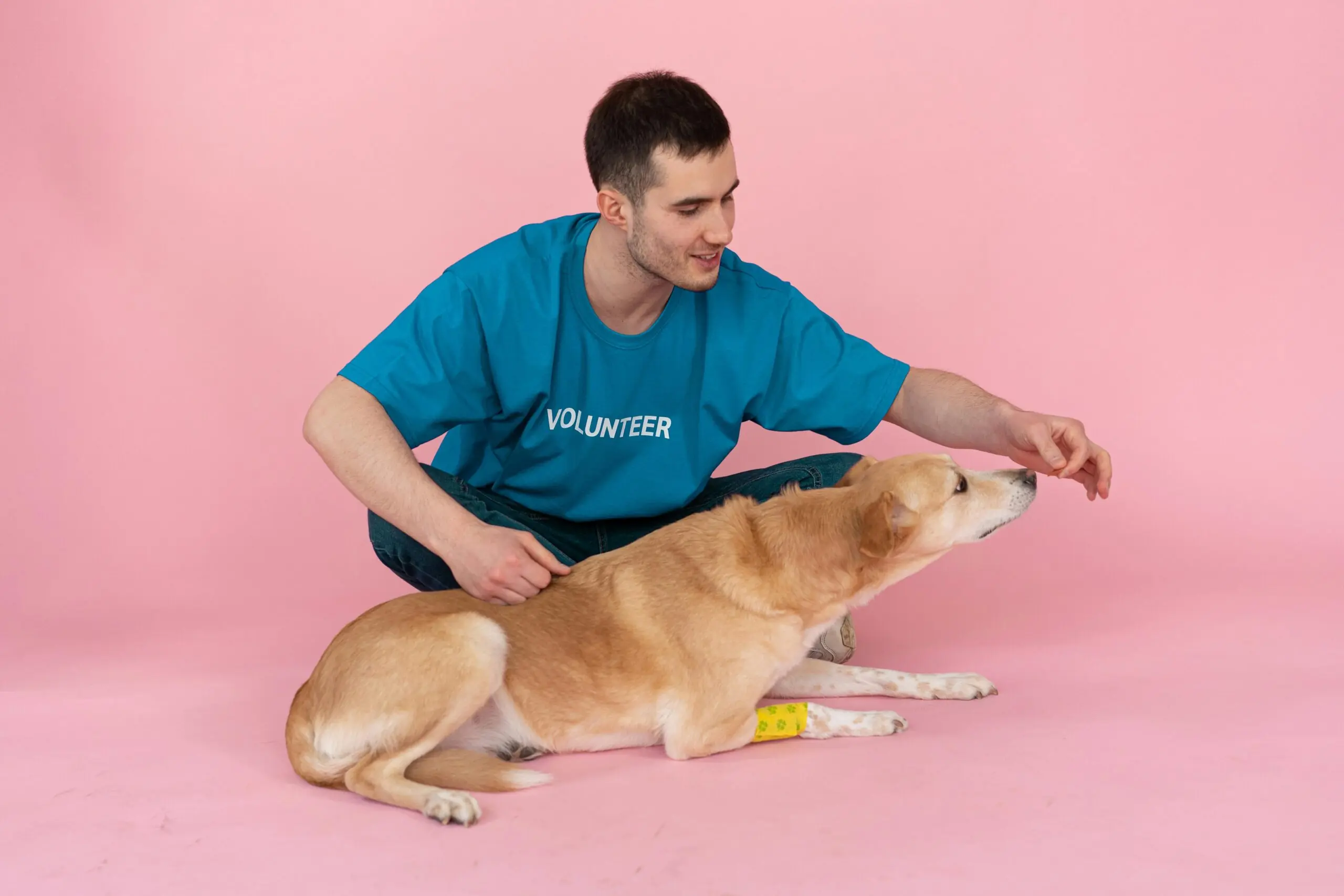 How Do Veterinarians Diagnose and Treat Otitis Externa in Dogs scaled