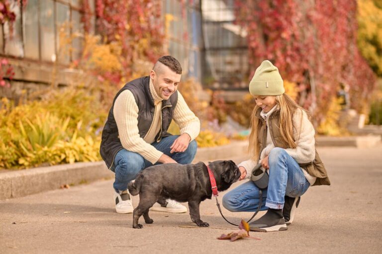 How Service Dogs Keep Diabetes Patients Safe