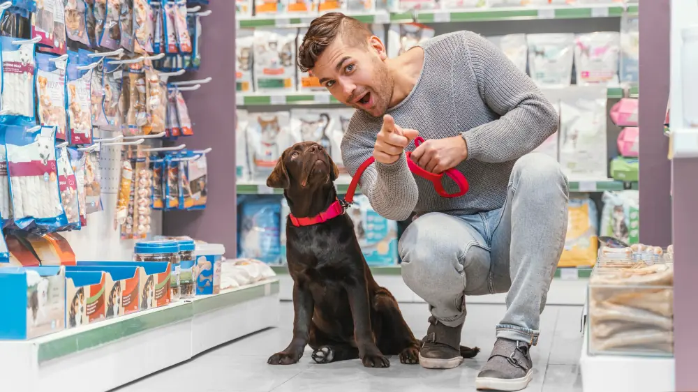 How Should I Store My Pet s Medicines to Maintain Their Shelf Life