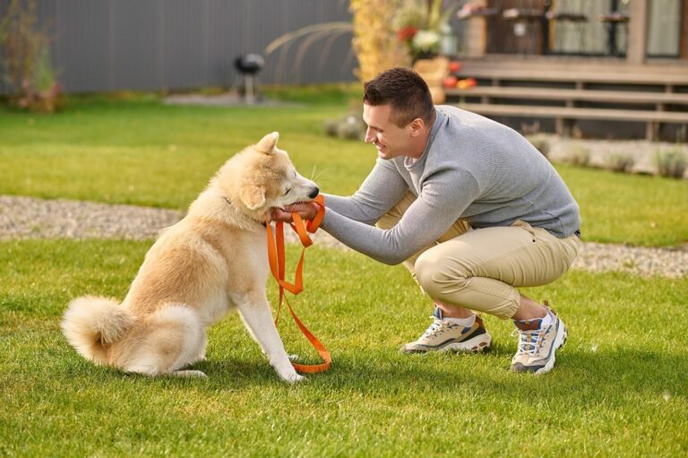 Importance of Crating your Dog An Owner s Perspective