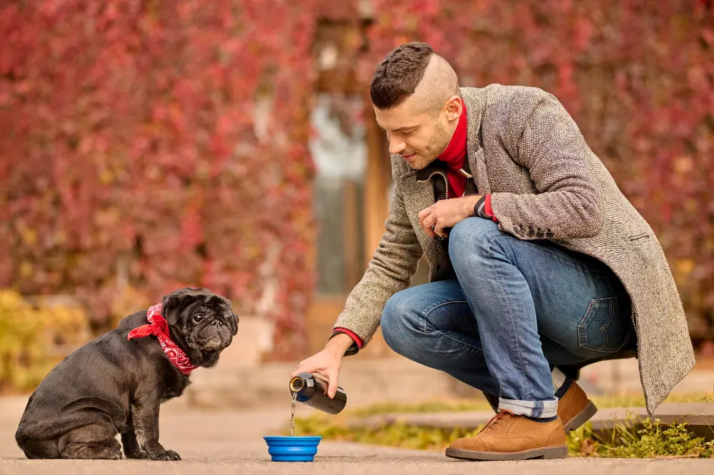 10 Tips to Help Stop Dog Barking 1 Improve Your Dog s Behavior and Follow Through