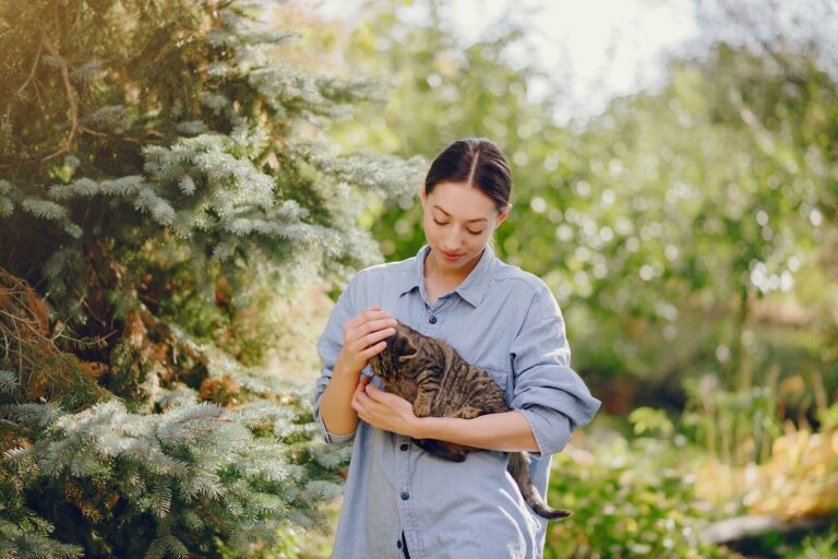 Itch Relief for Pets in Spring