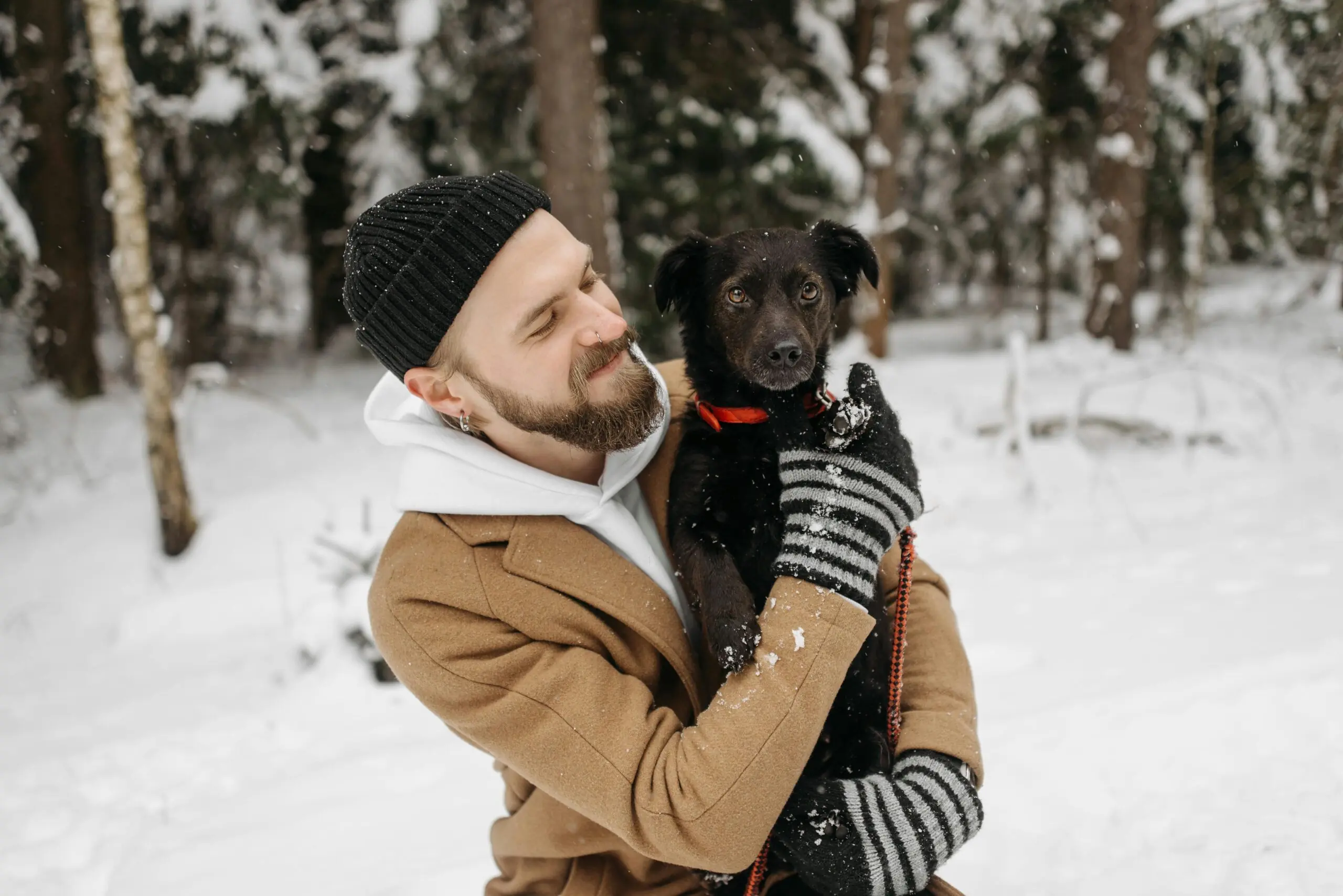 Keep Antifreeze Out of Reach of Pet scaled