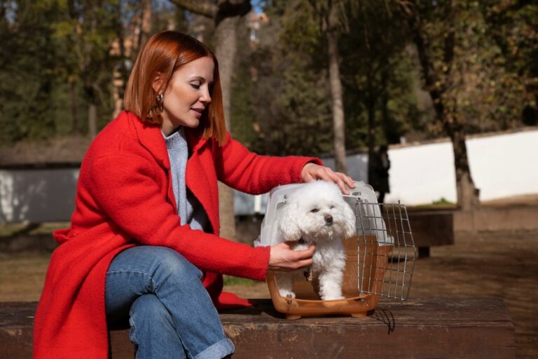 Keeping Your Pet Free of Foreign Bodies