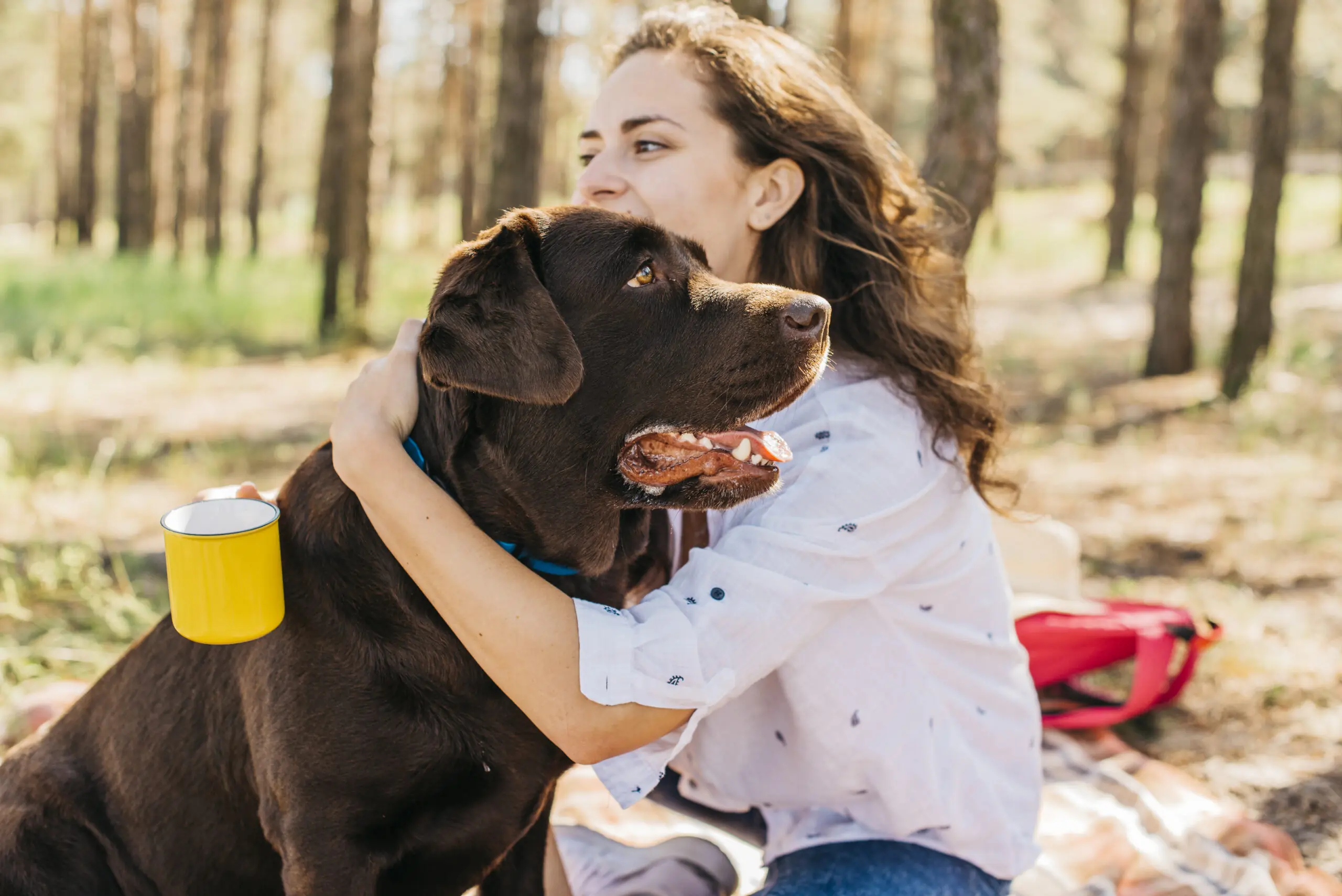 Natural Reasons Why Dogs Lick Excessively scaled