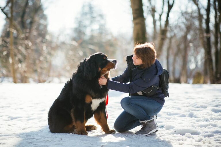 Pet Safety for Cold Weather