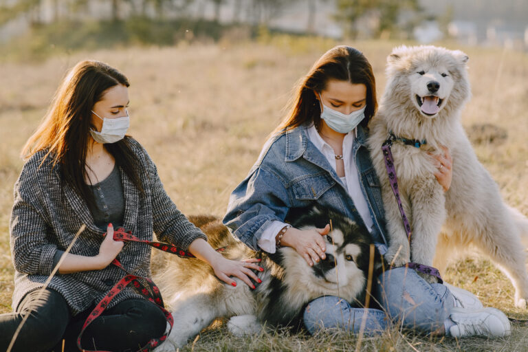 Protecting The Family Dog As The Flu Season Approaches