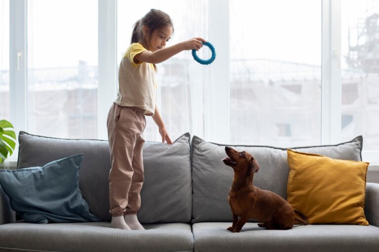 Puppy Training Tips Tricks