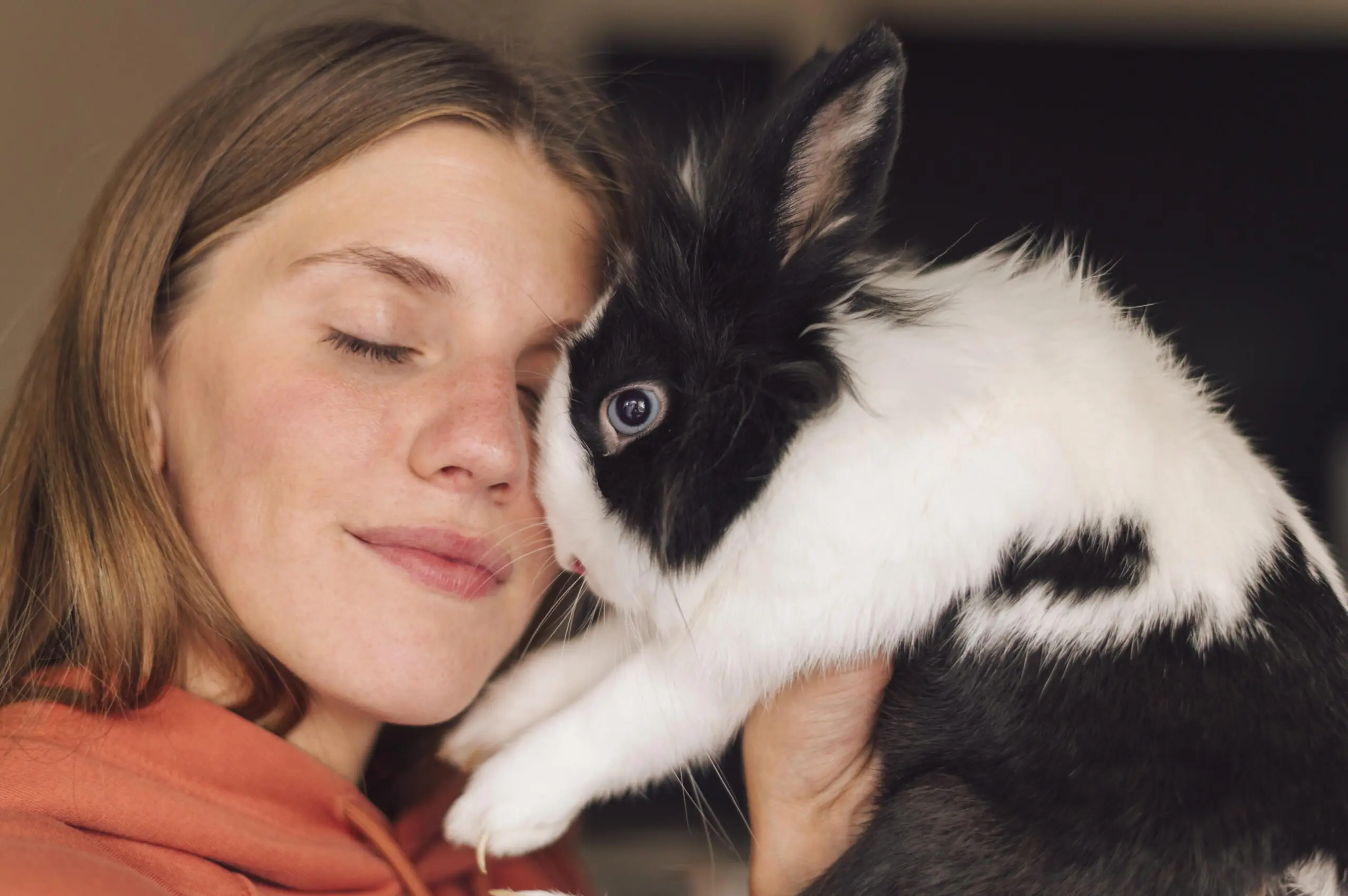 Why a Pet Rabbit is a Great Family Pet 2 Rabbit Provides Companionship scaled