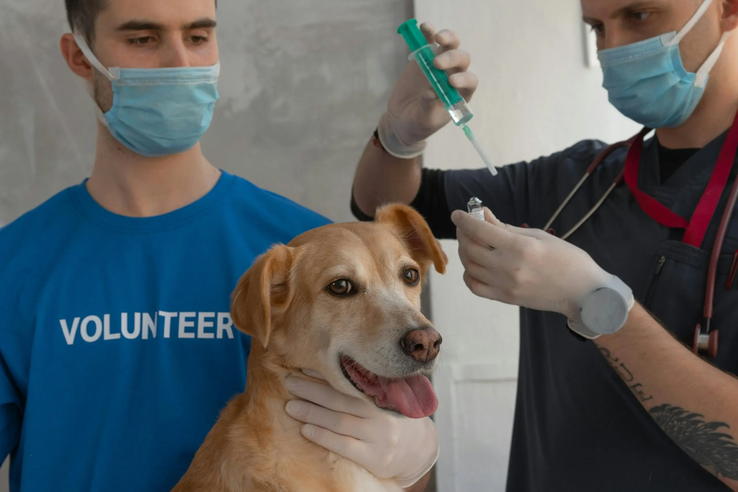 Safe and Effective Immune Response From a Rabies Vaccine scaled