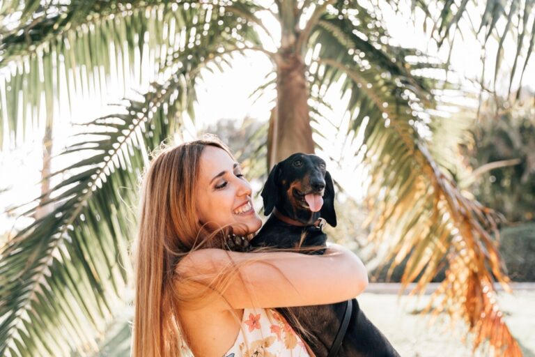 Summer Safety Tips Keep your Pets Safe during the Spring Summer