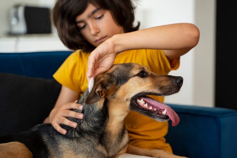 Tick Borne Diseases Are Ticks Spreading More Across the US