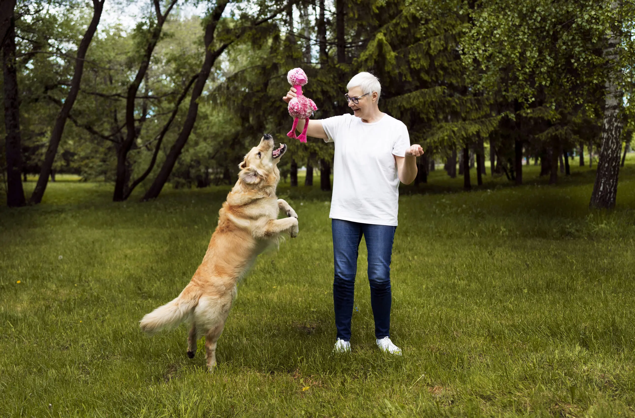 Using Complimentary Alternative Therapies in Pets scaled