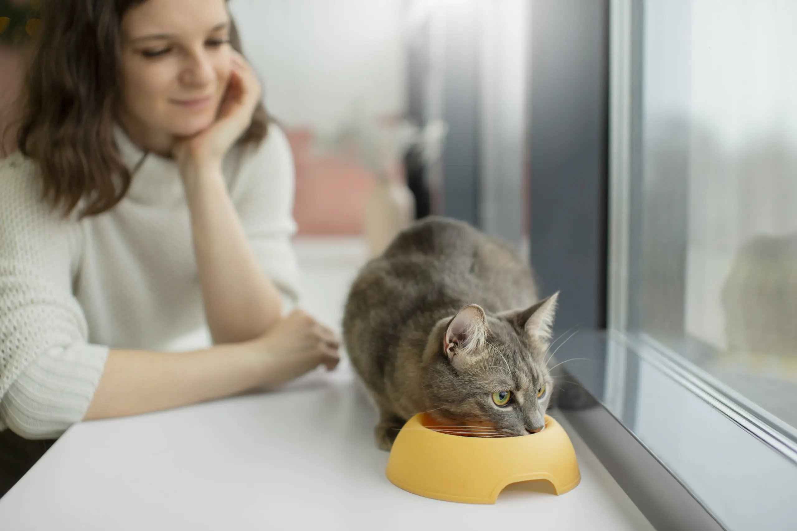What Does a Healthy Cat Poop Usually Look Like scaled