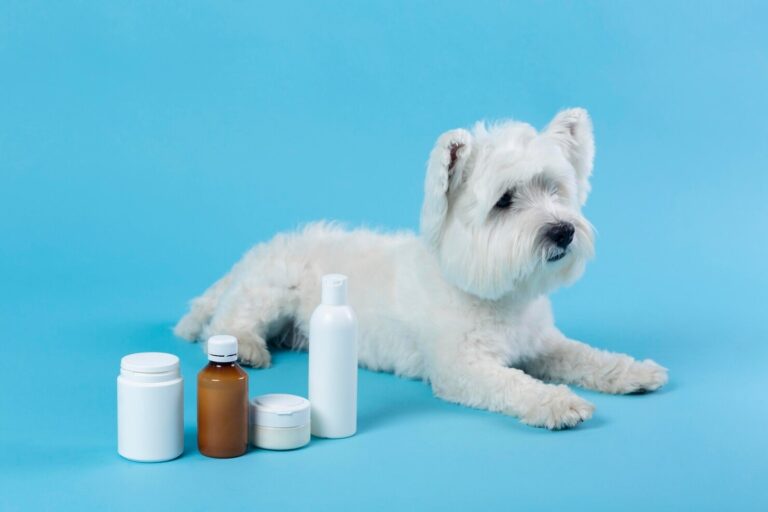 What are Flea and Heartworm Medications in Pets