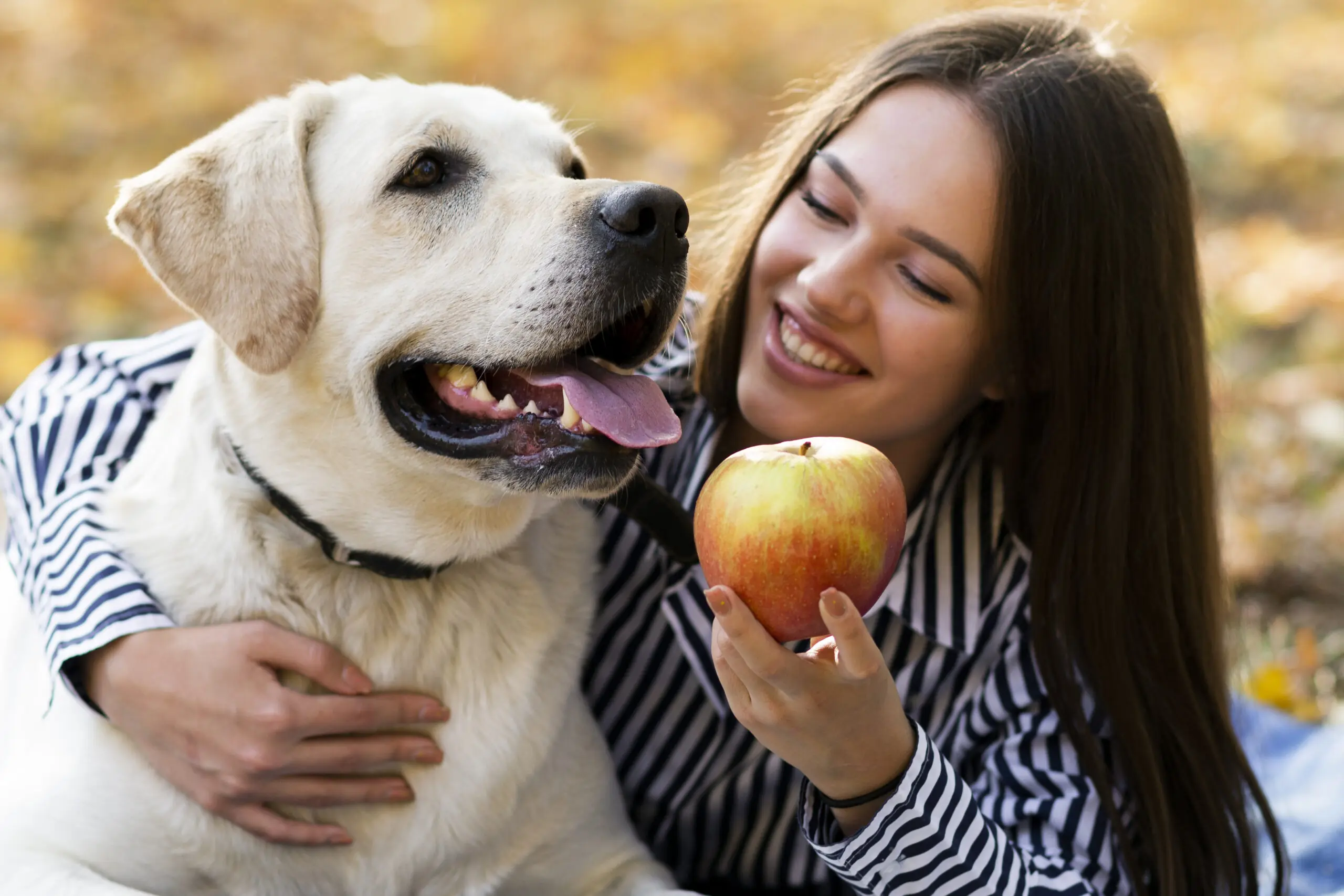 What if Your Dog Has Eaten an Apple Core scaled