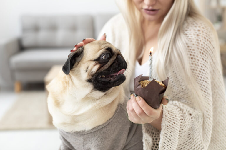 What to Do About Canine and Chocolate