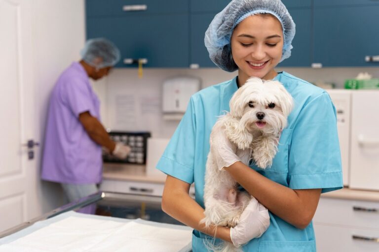 Your Questions on Veterinary Nutrition