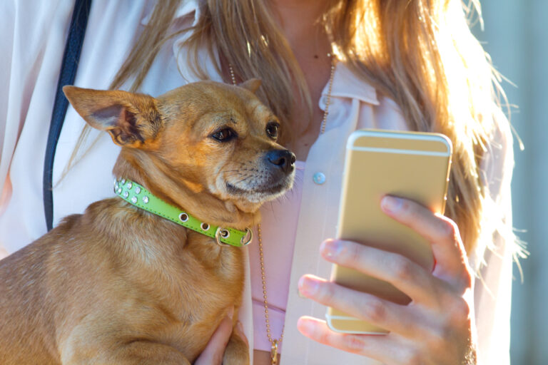 beautiful young woman with her dog using mobile phone