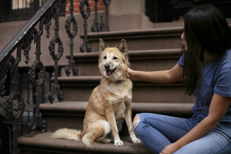close up pet lifestyle
