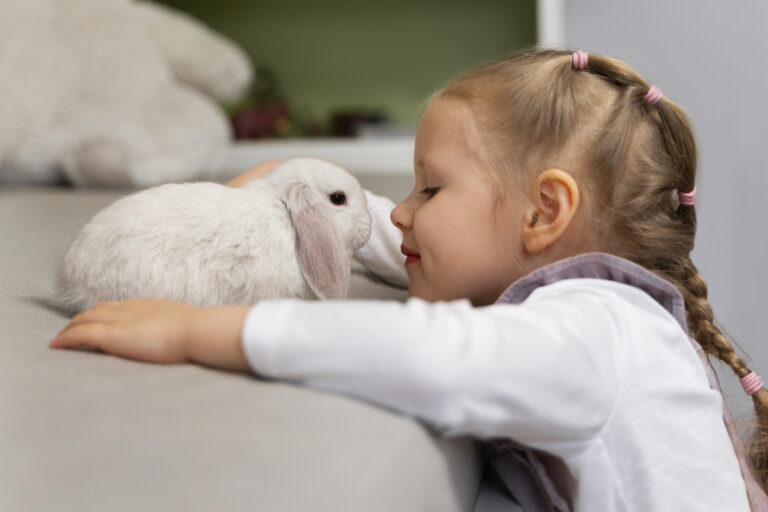 medium shot girl playing with bunny