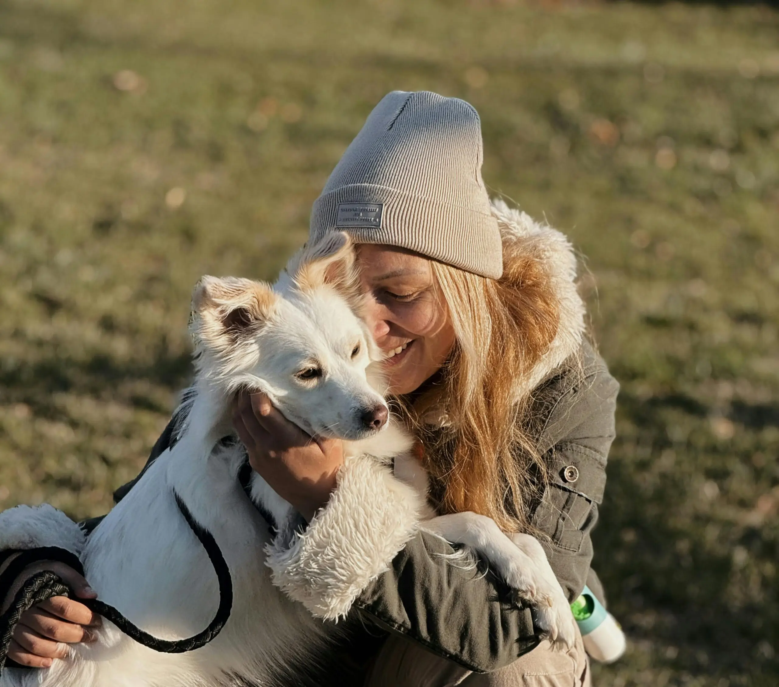 Nurturing Your Young Adult Dog: Essential Care Tips and Advice 3 Activities You Can Do With Your Dog scaled