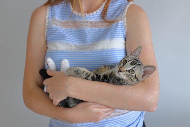 Atopic Dermatitis in Cats