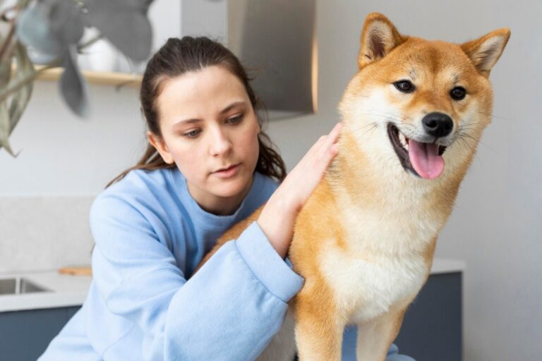 Common Genetic Diseases in Dogs