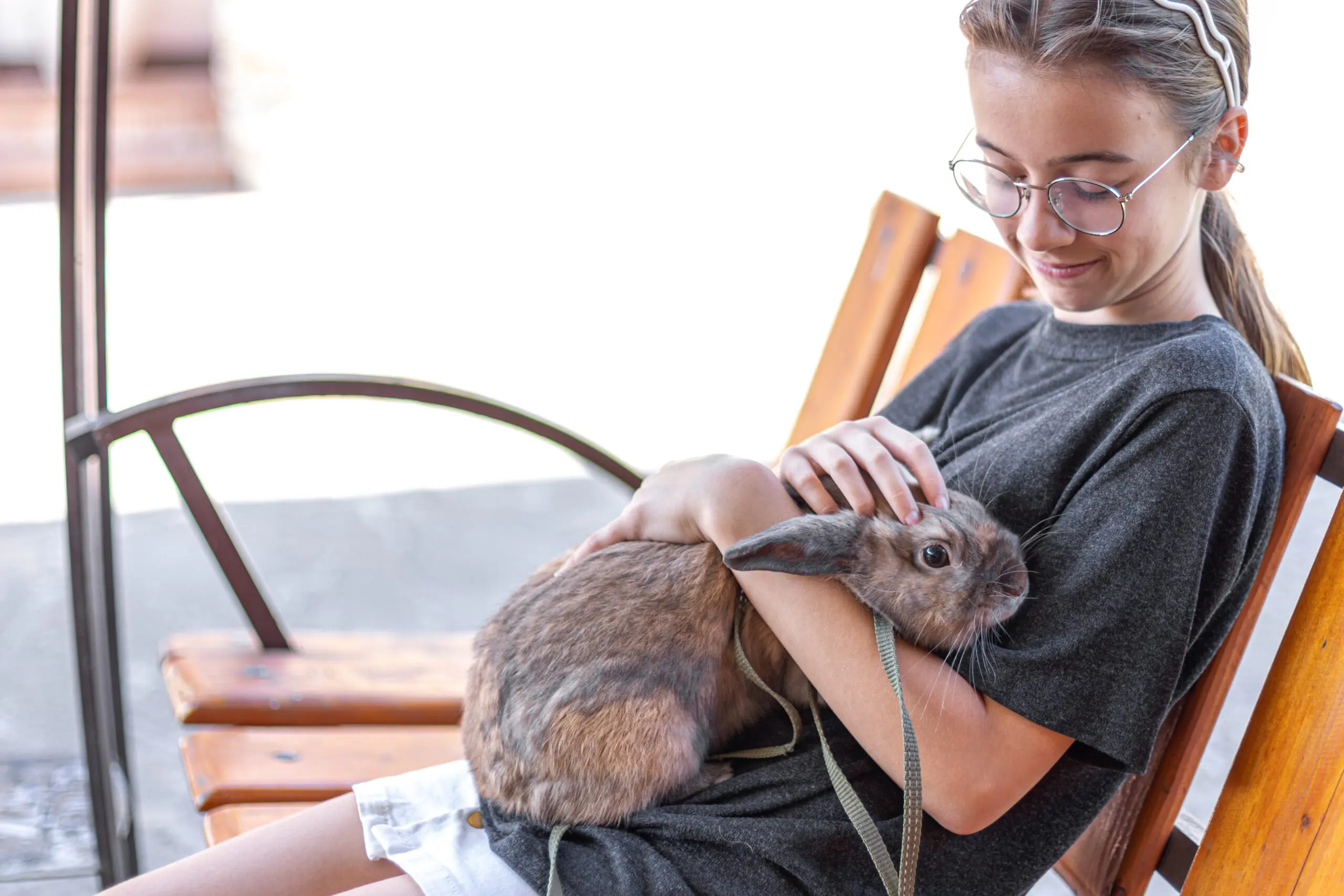 Ferret Care Guide: My Hints On Caring For Pet Ferrets 1 Creating Your Ferret s Habitat scaled