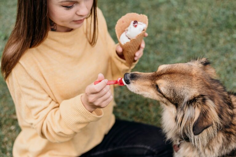 Diabetes Mellitus in Dogs