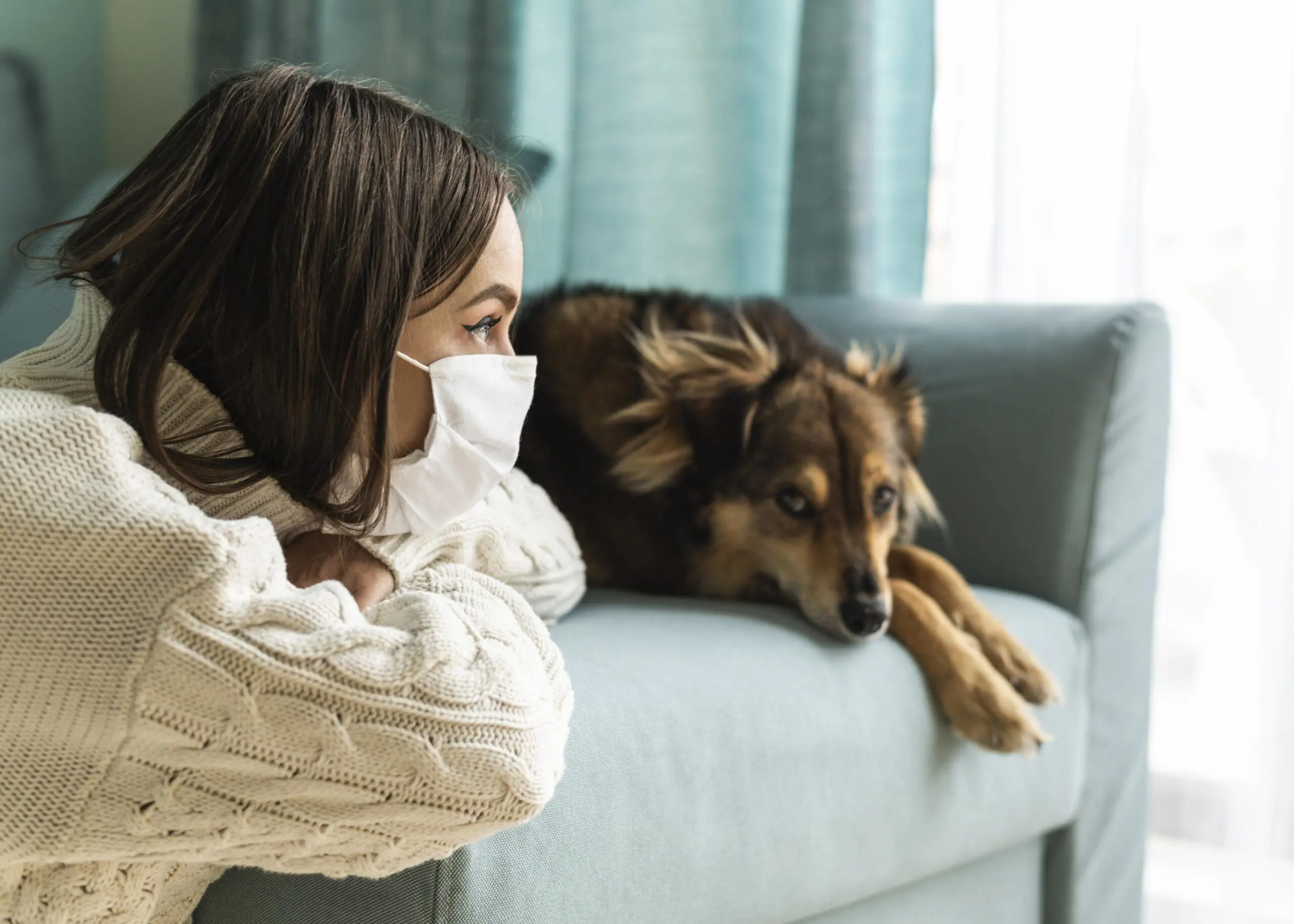 Diseases You Can Catch From Your Dog scaled