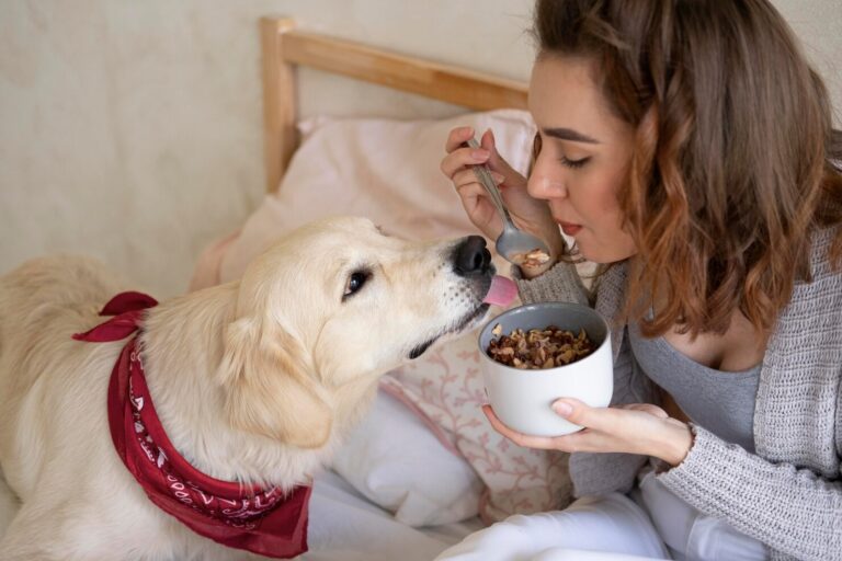 Food Allergies in Dogs