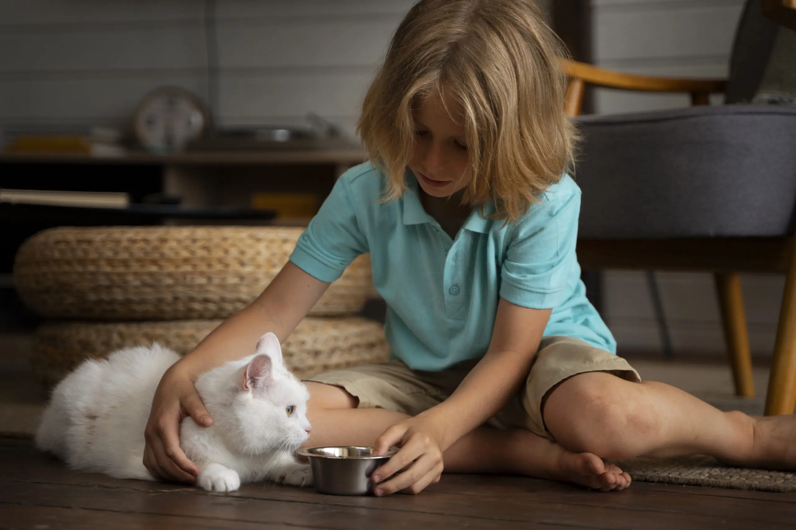 Handling Techniques to Keep Kittens Healthy and Safe scaled