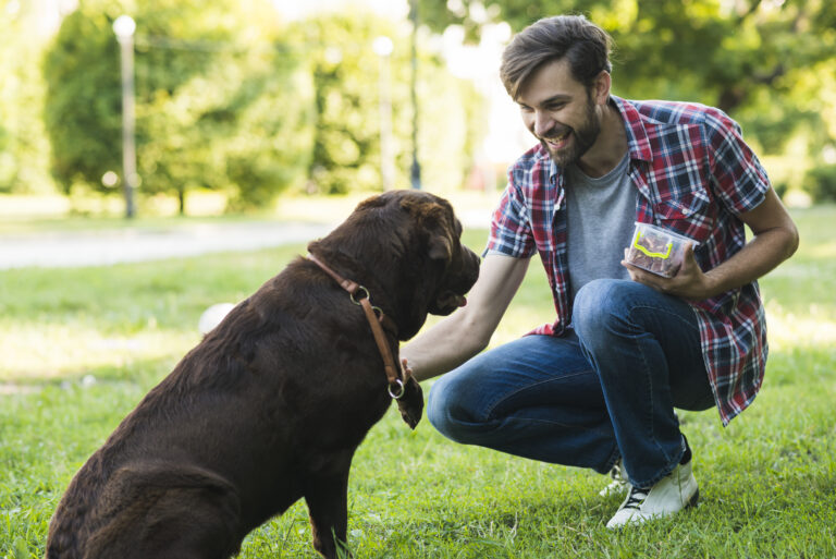 Nurturing Your Young Adult Dog Essential Care Tips and Advice