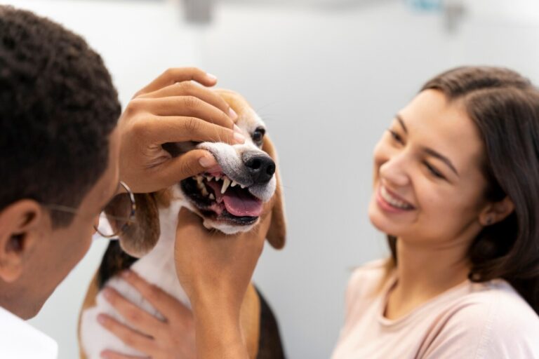 Oral Masses in Dogs