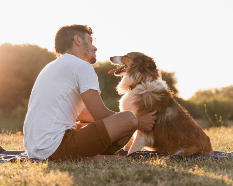 Senior Dog Care Diet Checkups Grooming Exercise