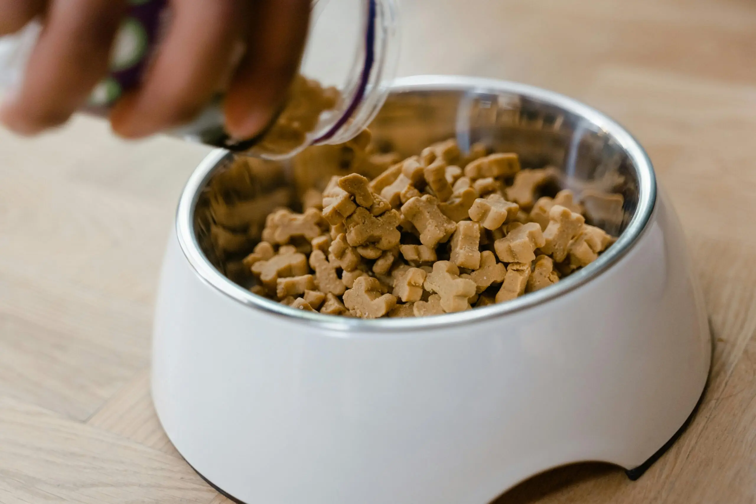 Tips for Choosing the Right Grain Free Diet for Your Dog scaled