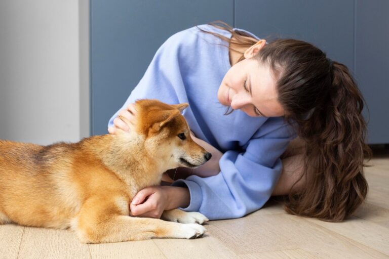 Understanding Brachycephalic Syndrome in Dogs